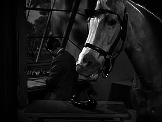 Mister Ed S04E13-Ed Gets The Mumps