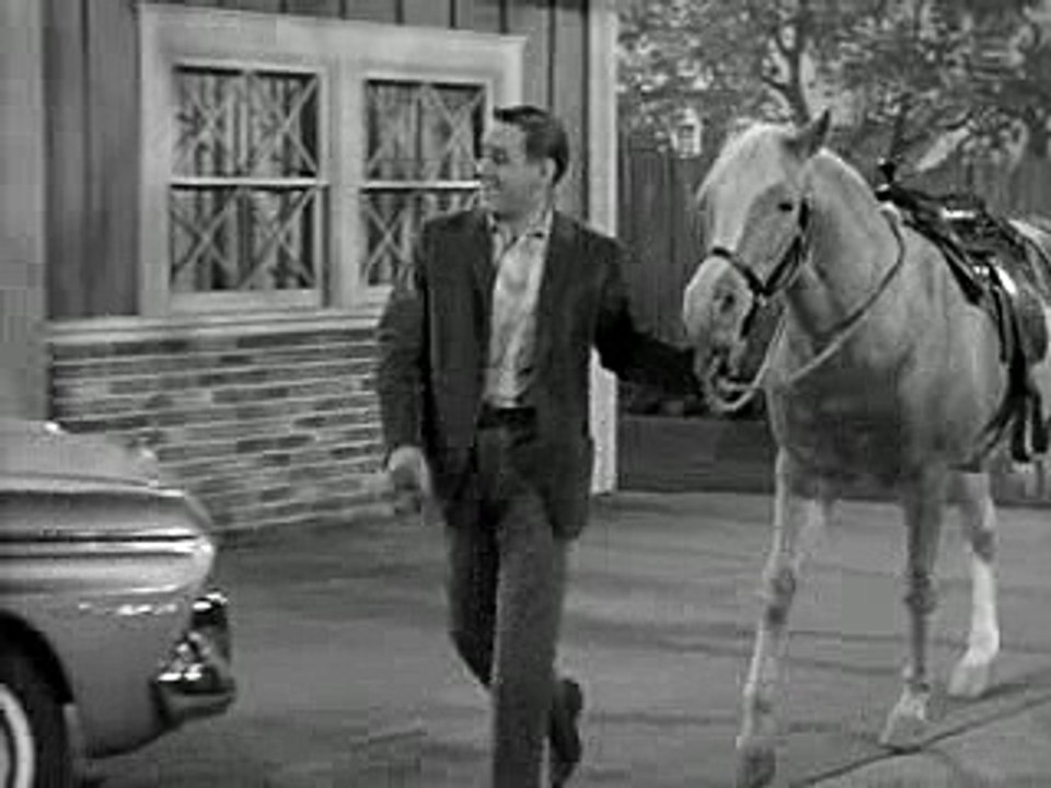 Mister Ed S04E18-Ed The Donkey