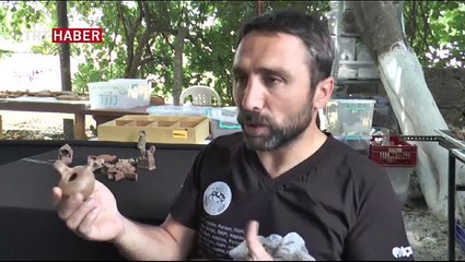 2 bin yıllık biberon bulundu