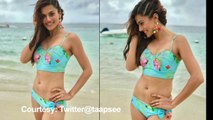 Taapsee Pannu Punch to TROLLS defends bikini post