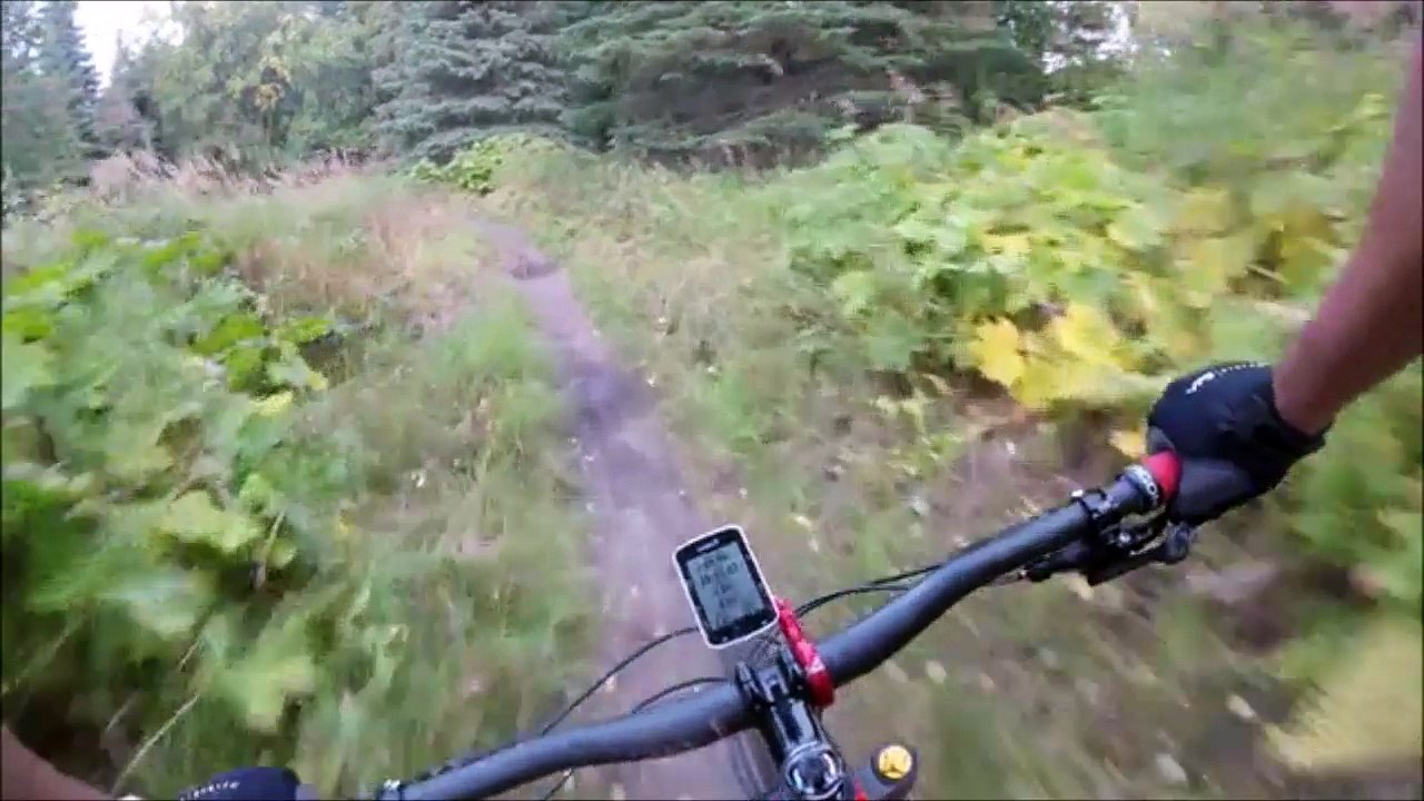 Regardez ce que va croiser ce rider en pleine piste VTT... Flippant