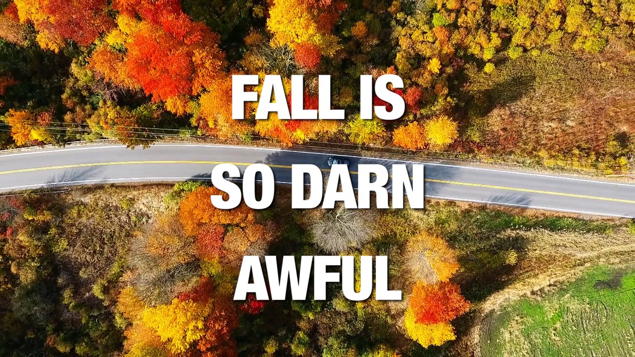 Fall Sucks: Here's Why
