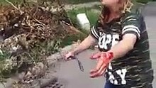 Un pitbull sauve sa maitresse d'une attaque d'un autre pitbull !
