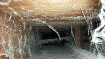 Pensacola Air Duct Cleaning | (850) 477-1151