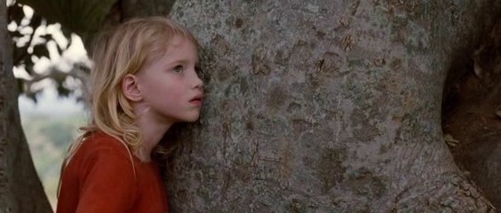 Francis Cabrel - Le Chêne Liège