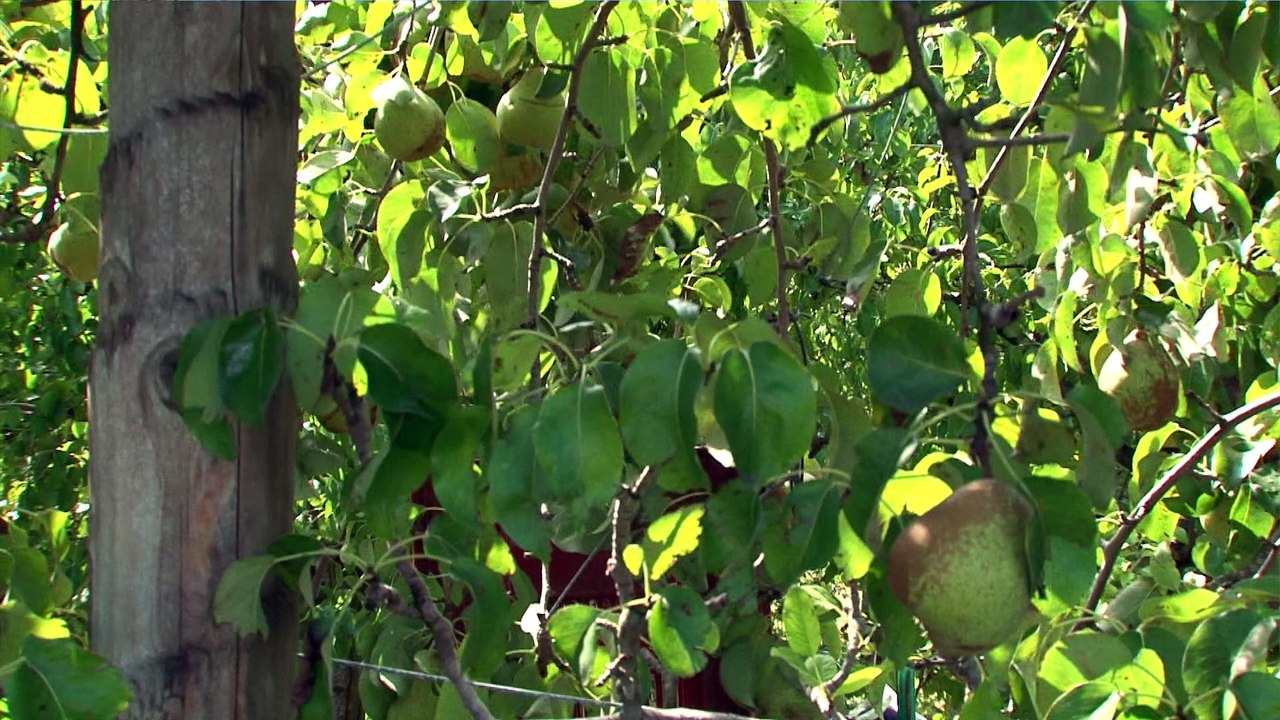 Bienvenue chez vous - Bienvenue chez vous