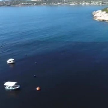 Marée noire en Grèce: 2500 tonnes d'hydrocarbures déversées dans la mer