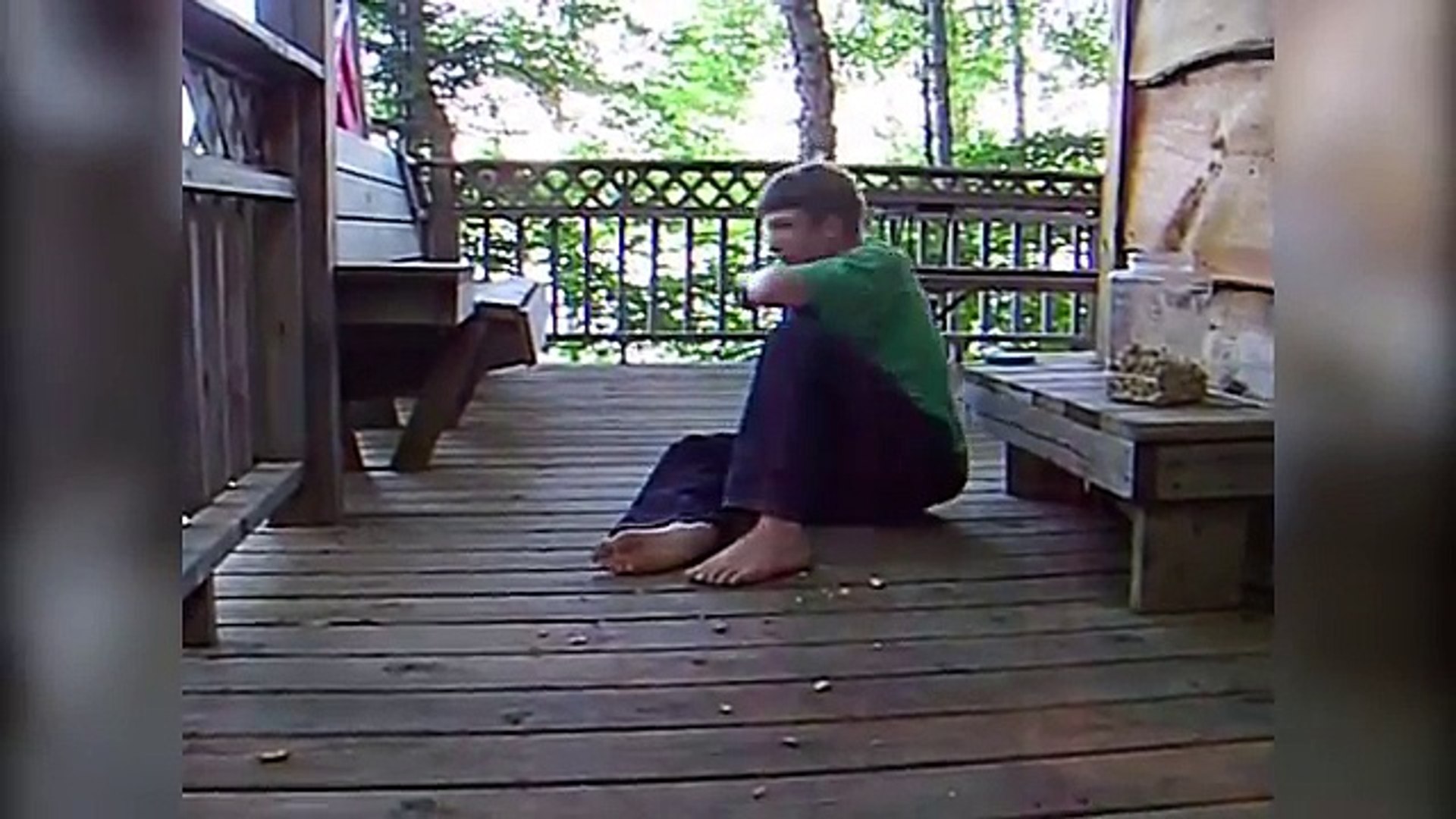 ⁣Funniest Pet & Animal Moments Caught On Tape Weekly Compilation 2016 | Funny Pet Videos