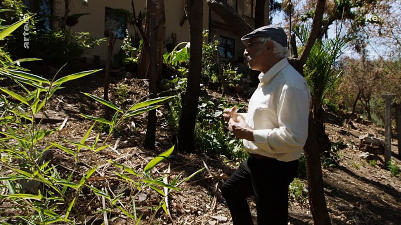 Re: Waldbrände in Portugal - Die Wahrheit hinter der Katastrophe (Doku)