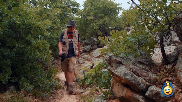 Raptor Dinosaurs vs Park Ranger Aaron In Real Life Dinosaur Park with Surprise Toys Fun Kids Video
