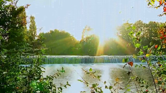 Francis Cabrel - Chanson d'Automne