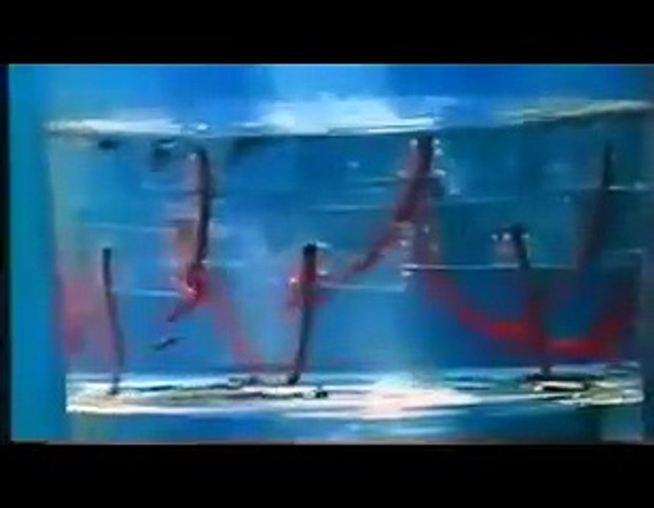 RPTVP-Encerramento da Programação da noite.
