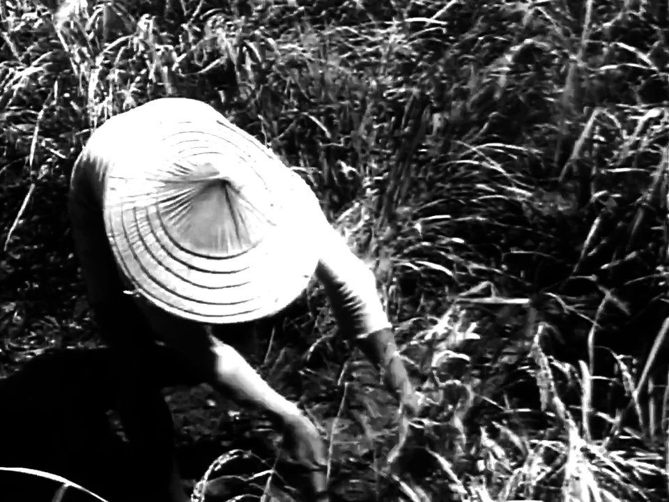 Okinawa_ Keystone of the Pacific 1954