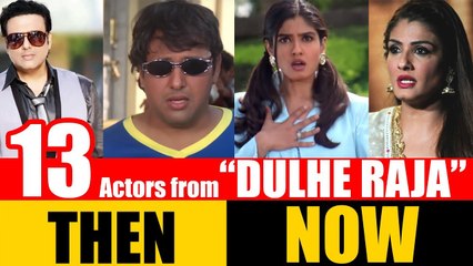 13 Bollywood Actors from "DULHE RAJA" 1998 | THEN and NOW 2017