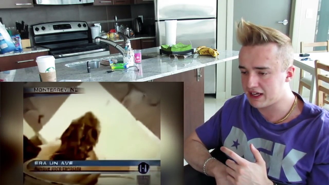 5 Dragons Caught On Camera & Spotted In Real Life! REACTION