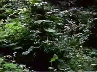 온라인바카라하는곳추천＼＼【 ＬＯＵ８２。ＣＯＭ 】＼＼발기부전약종류