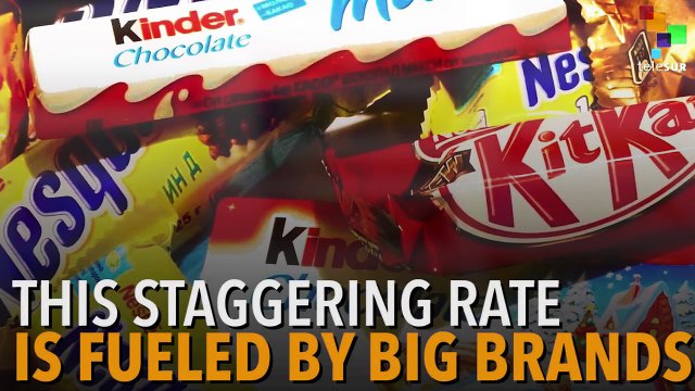 Chocolate Cravings: Driving Deforestation in the Ivory Coast