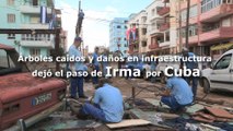 Edificaciones destruidas y arboles en las calles, al balance en Cuba luego de Irma
