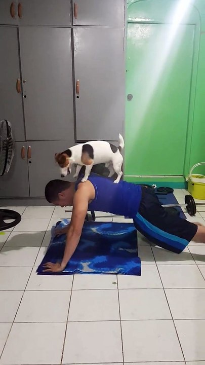 New Fridge Trick for Milo