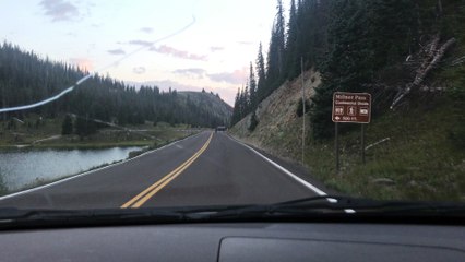 Playing Chicken with an Elk in the Rocky Mountains