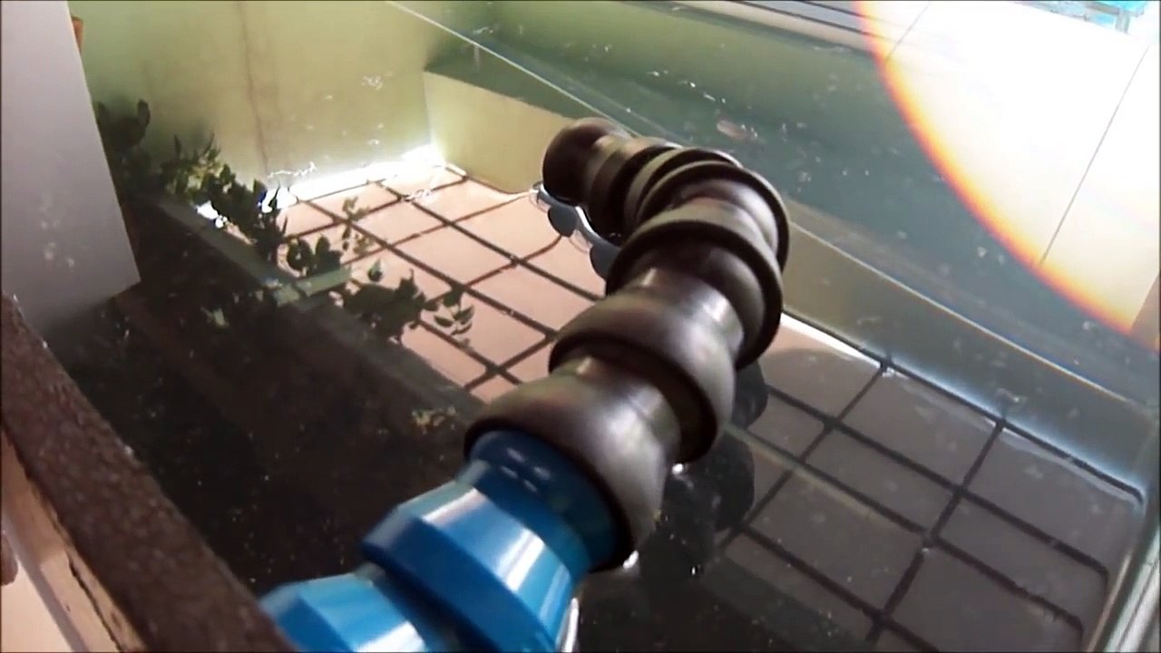 Aquarismo Pzu - Hidráulica do aquário com sump.