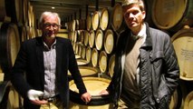 Les acteurs de la filière des vins de Bourgogne en 