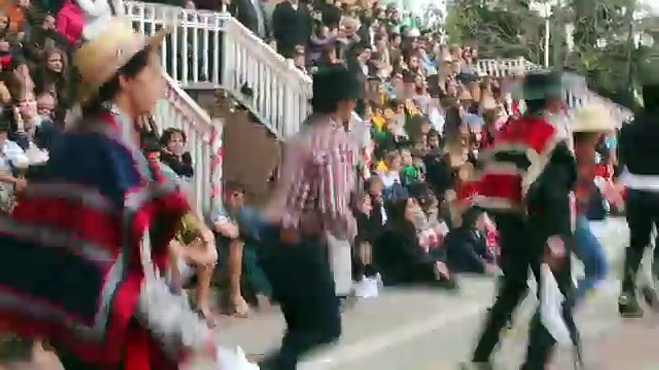 VOLVI AL COLEGIO 
