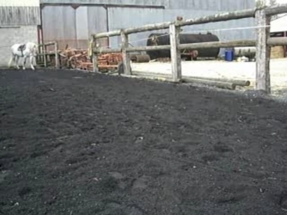 Epaule en dedans aux longues rênes