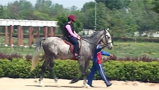 第222回在日同胞の祖国訪問団みりん乗馬クラブ、みりん航空クラブ参観_20170530