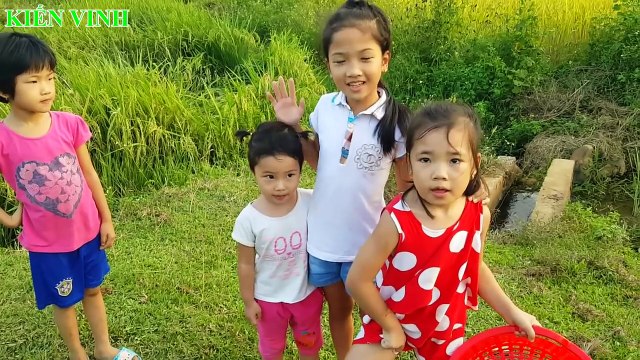 Săn trứng khủng long - Bóc trứng khủng long - Dinosaur surprise eggs