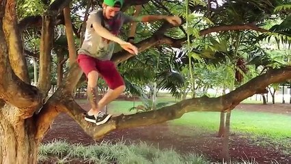 Best Fails of the Month JULY 2016 | Funny Fail Compilation