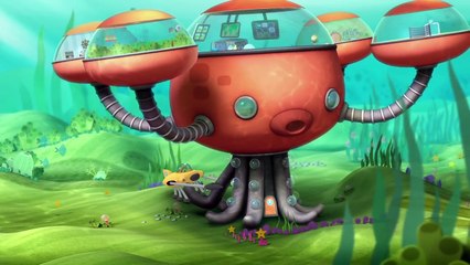 Cute Baby Creatures in Octonauts