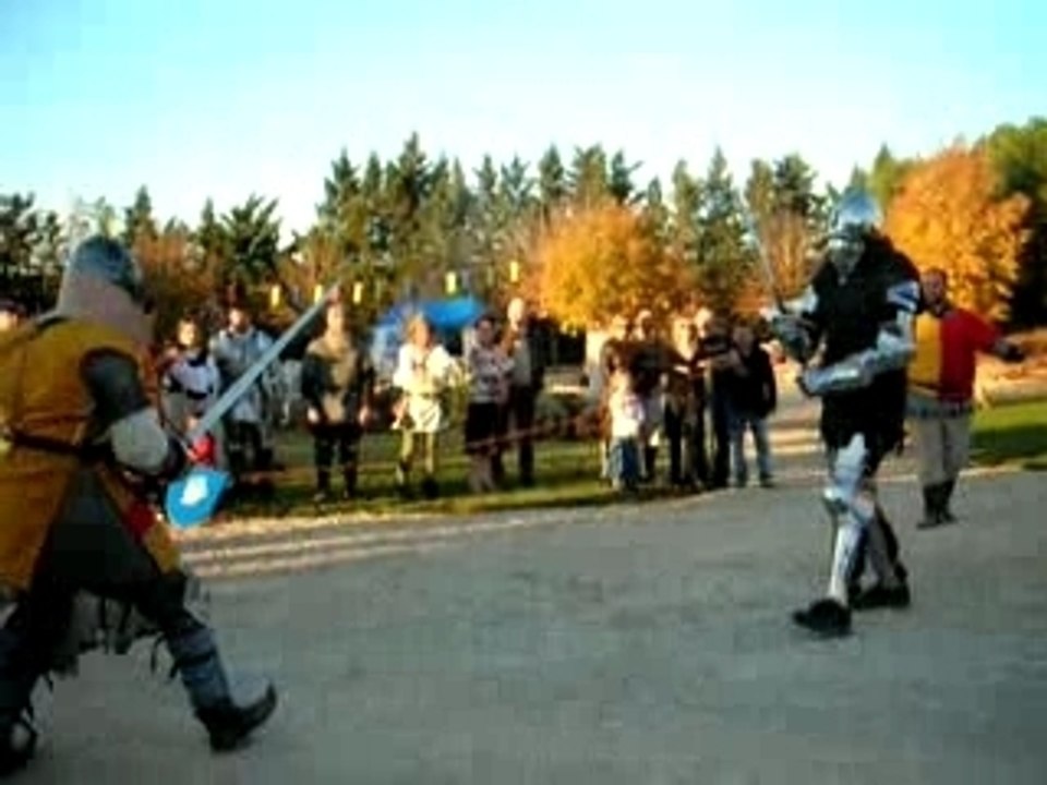 Assault epee longue , epee bouclier combat medieval .