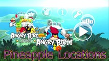 Angry Birds Trilogy: Rio - River of Flavor Achievement Guide, All 15 Pineapple Locations [Xbox360]