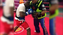 Adonis Stevenson Boxing Training Highlights | Muscle Madness