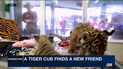 PERSPECTIVES | A holocaust museum in Southern Taiwan | Wednesday, September 13th 2017