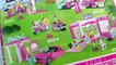 Chelseas Birthday Party Fun Mini Barbie Doll Mega Bloks Playset with Lego Friends + Queen