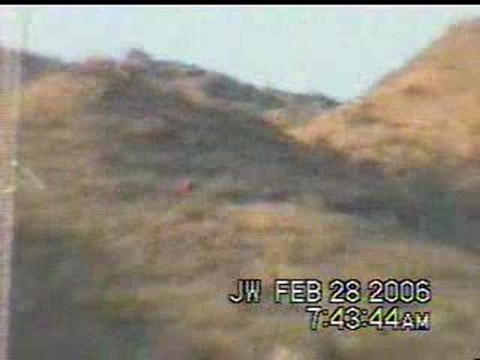 OVNI : Phoenix 2006
