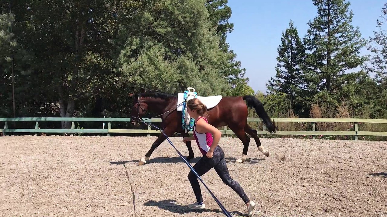Vaulting practice clip 9/9/17