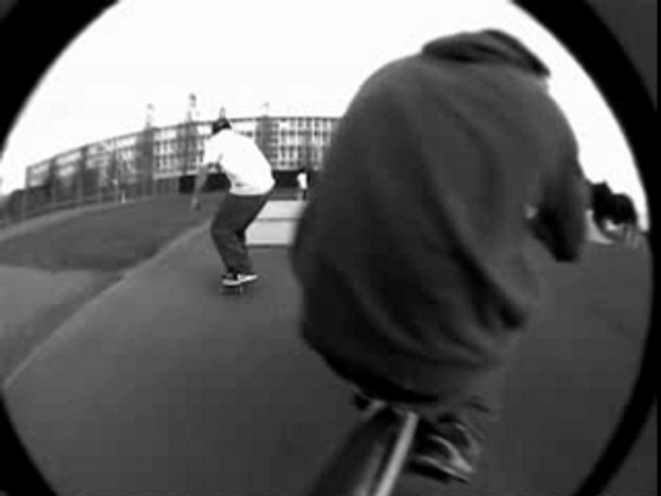 skate vannes