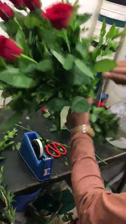How to Make a Simple Roses Flowers Bouquet – Melbourne Fresh Flowers