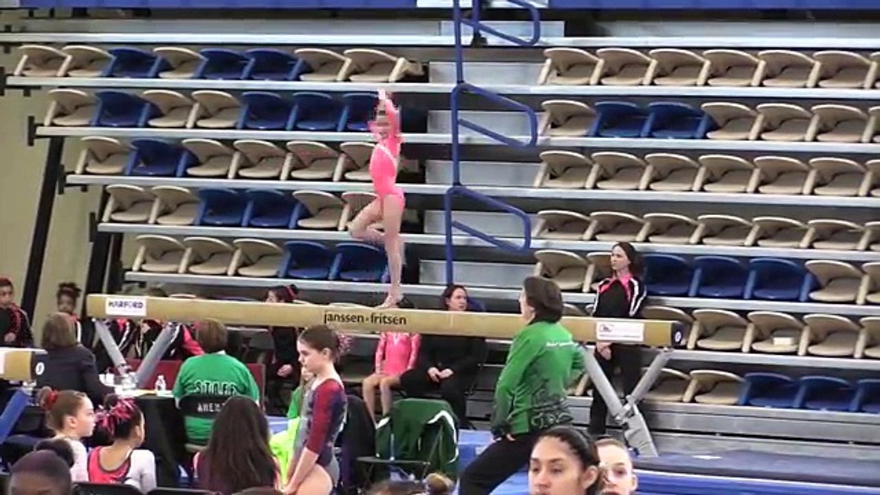 Annie the Gymnast | Level 7 State Gymnastics Meet new | Acroanna