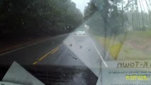 Un arbre tombe devant une voiture qui roule