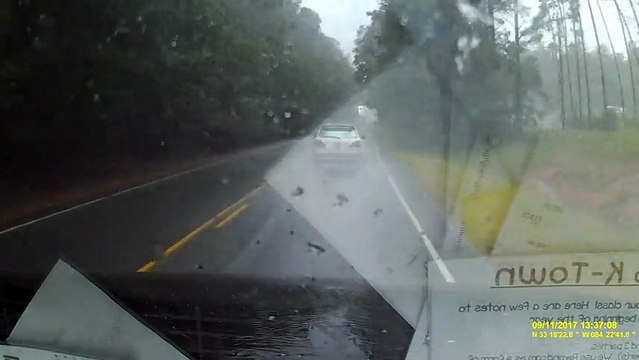 Un arbre tombe devant une voiture qui roule