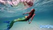 Top 10 Videos Of Mermaids Caught On Camera