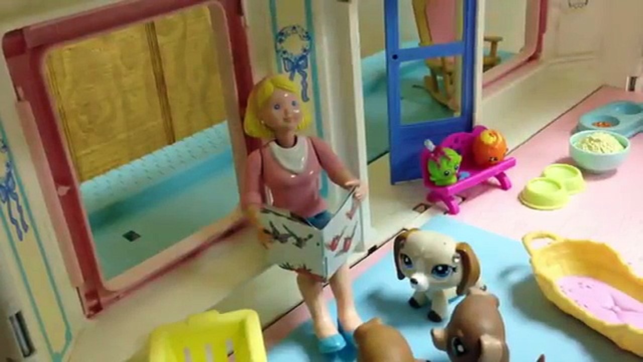 Et soins journée animal de compagnie populaire Boutique vidéos Le plus petit