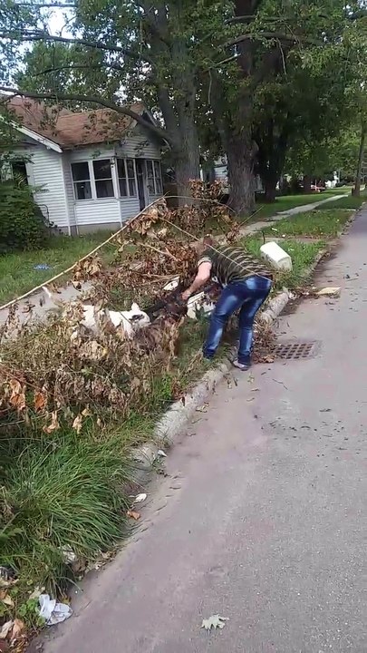 Ce pitbull a sauvé sa maitresse et l'a defendu contre un autre pitbull agressif