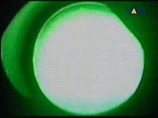 Molesta - Muzyka Miasta