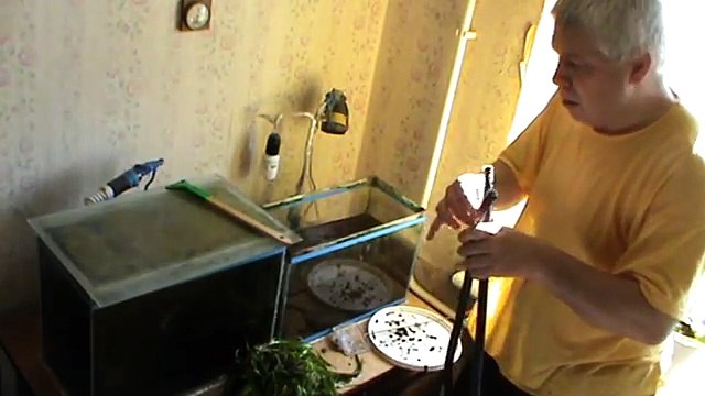 Мужик сливает воду из аквариума — Геннадий Горин