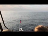 Humpback Whales Swim Under Family's Boat